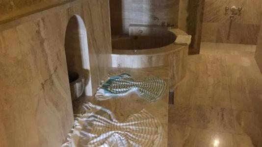 Oread Cave Suites - 100