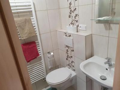 Pension Zelený strom - 10