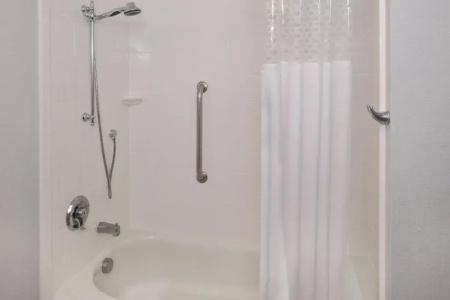 Hampton Inn & Suites Denver-Speer Boulevard - 75
