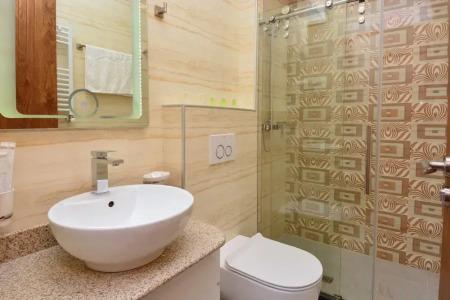 King David Bakuriani - 67