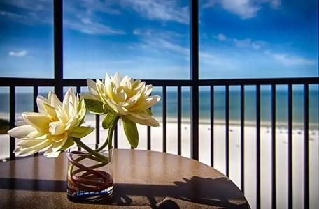 Pointe Estero Resort - 82