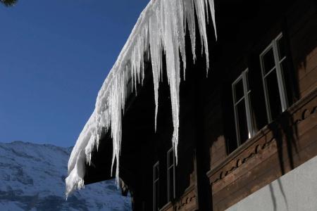 Grindelwald Youth - 31