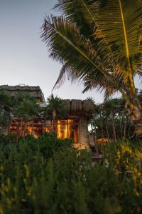 Chiringuito Tulum - 41
