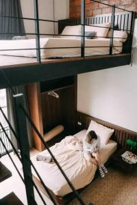 Gord Chiangmai - Sha Extra Plus - 107