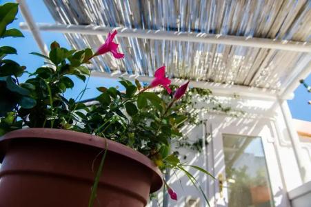 b&b Casa Dorsi - 51