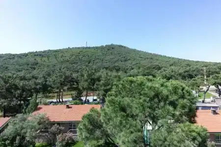 d Resort Murat Reis Ayvalık - 62