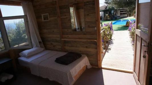 Shiva Camp - 25