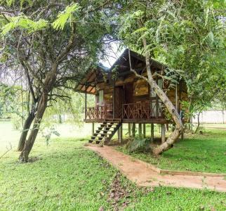 Eighth Wonder Resort - 44