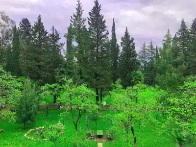 Imeri Park - 38
