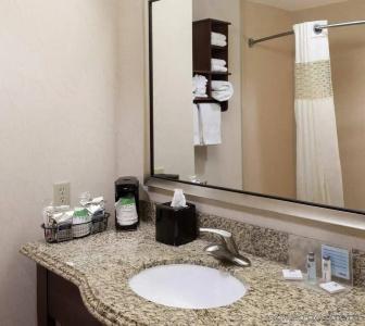 Hampton Inn & Suites Dallas-Arlington-South - 9