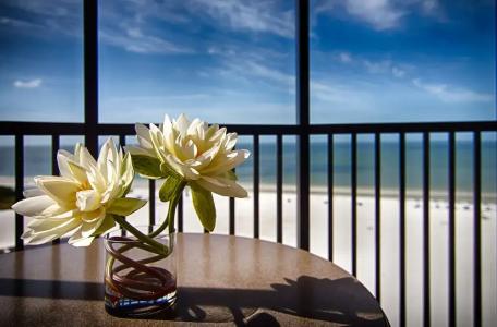 Pointe Estero Resort - 53