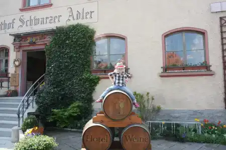 Schwarzer Adler - Garni - 27