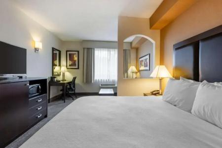Best Western Plus Inn & Suites - 69