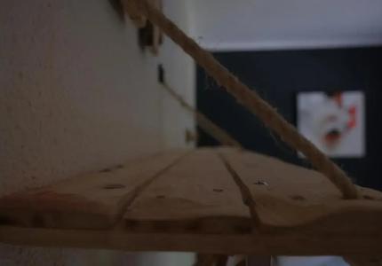 Arbre De Neu - 52