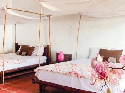 Bamboo Cottages - 53