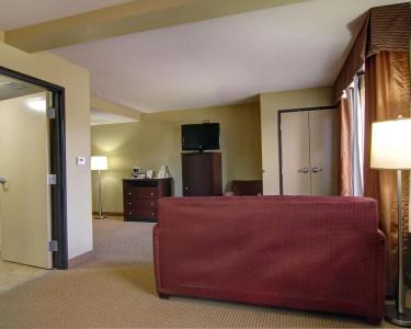 Comfort Suites West - 74