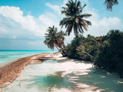 Bliss Dhigurah - 23