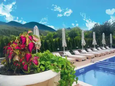 Premier Luxury Mountain Resort - 15