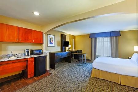 Holiday Inn Express & Suites Houston-Downtown Convention Center, An Ihg - 73