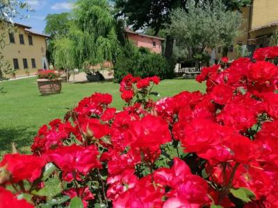 Podere Piandarca - 17