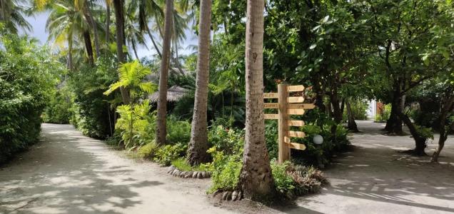 Thulhagiri Island Resort & Spa - 40
