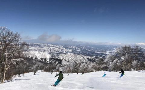 Address Nozawa - 24