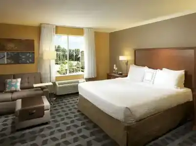 TownePlace Suites Houston Intercontinental Airport - 27