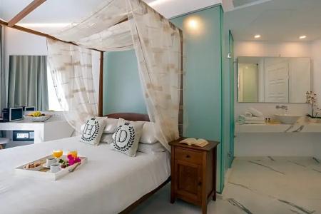 Dionysos Luxury Mykonos - 93
