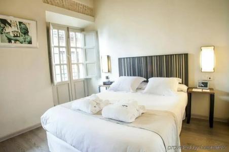 Boutique Casas de Santa Cruz - 8