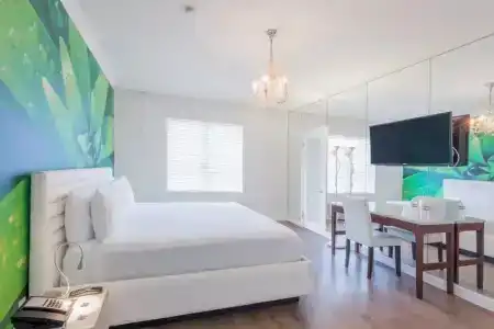 President Villa - 49