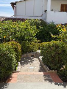 Residence Mendolita - 81