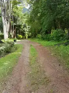 Phanom Bencha Mountain Resort - 5