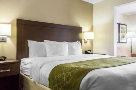 Comfort Suites at Tucson Mall - 55