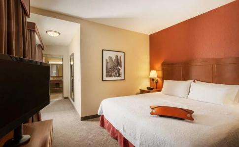 Hampton Inn Manhattan/Downtown- Financial District - 4