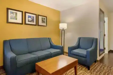 Comfort Suites - 8