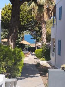 Misket Bodrum - 5
