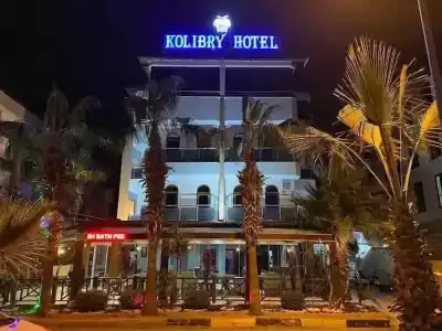 Kolibry - 31