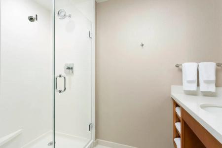 SpringHill Suites by Marriott San Diego Mission Valley - 57