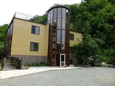Зеленый самшит - 1