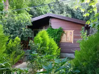 Maji Village - 18