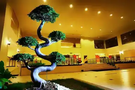 Raia & Convention Centre Terengganu - 20