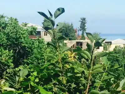 Villa la familia - 16