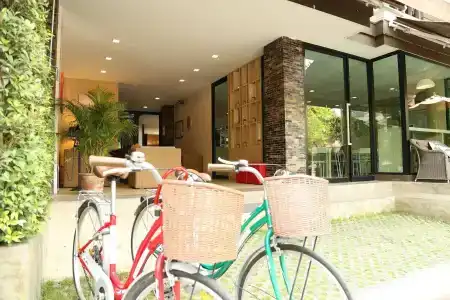 The Peaberry Explorer - 27