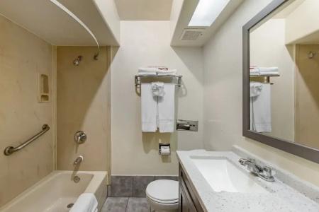 Anaheim Discovery Inn and Suites - 65