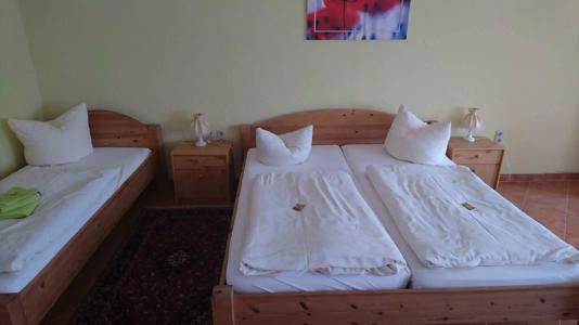 -Pension Am Mühlberg - 5