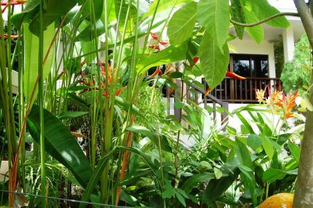 Baan Sawan Samui Resort - Sha - 16