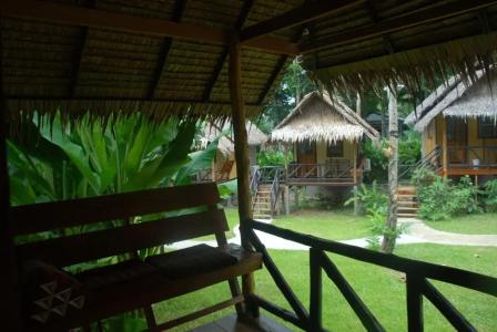 Jungle Garden - 18
