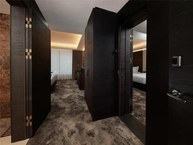 Hilton Belgrade - 49