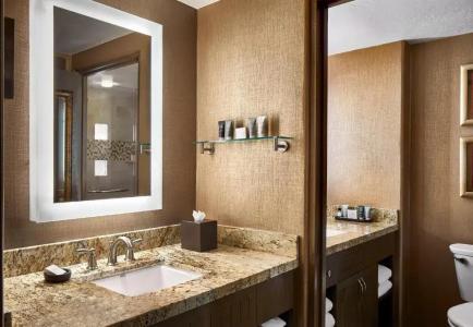 JW Marriott Camelback Inn & Spa - 78