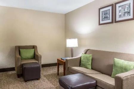 Comfort Inn Savannah - 46